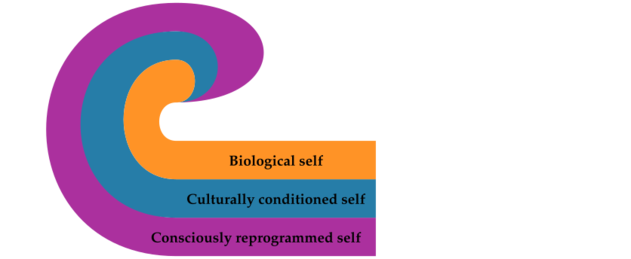 Three layers.svg