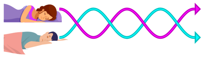 Intertwined dreaming.svg